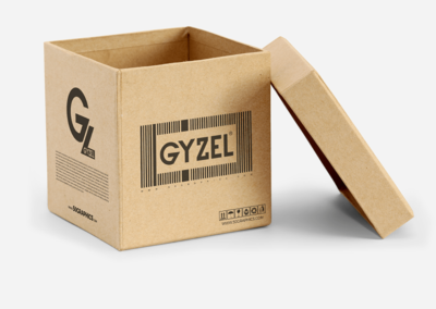 Gyzel